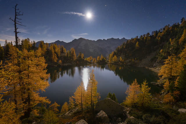 Marco Isaia