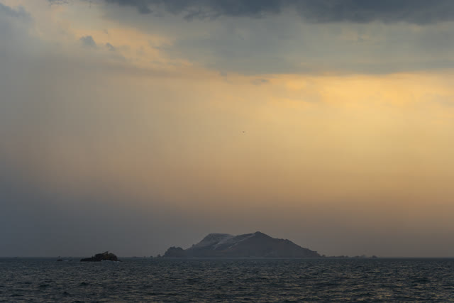 L'isola degli uccelli